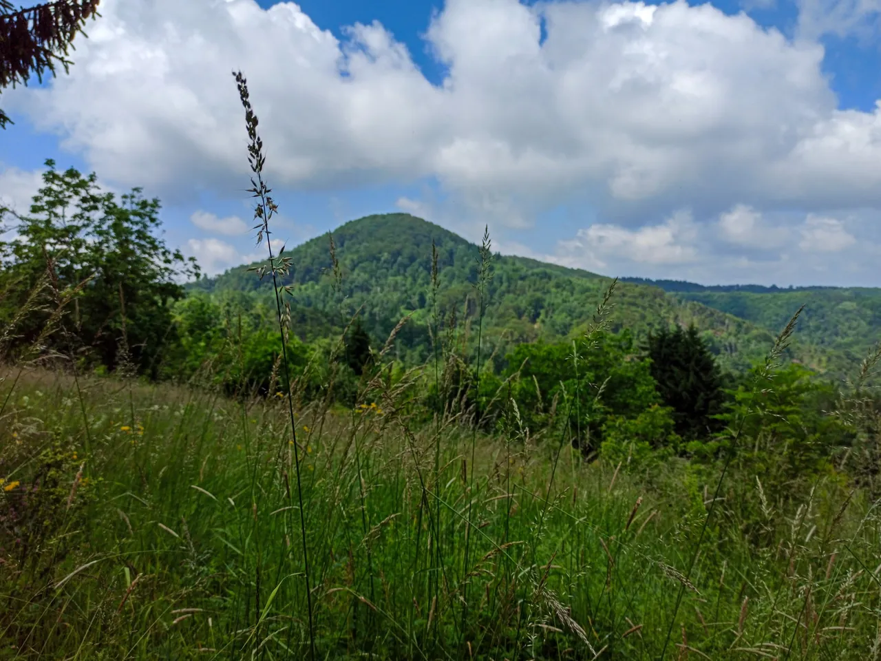 Brdo Morič