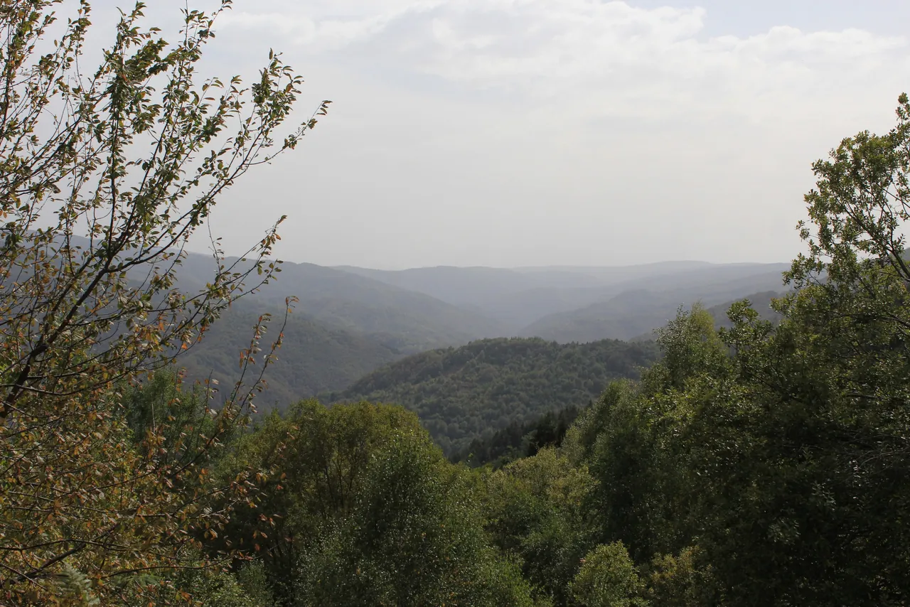 Dolina Vlasine