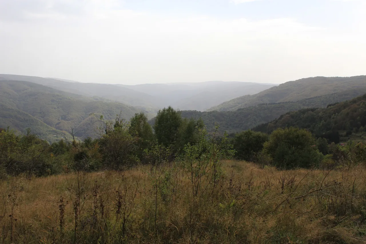 Dolina Vlasine